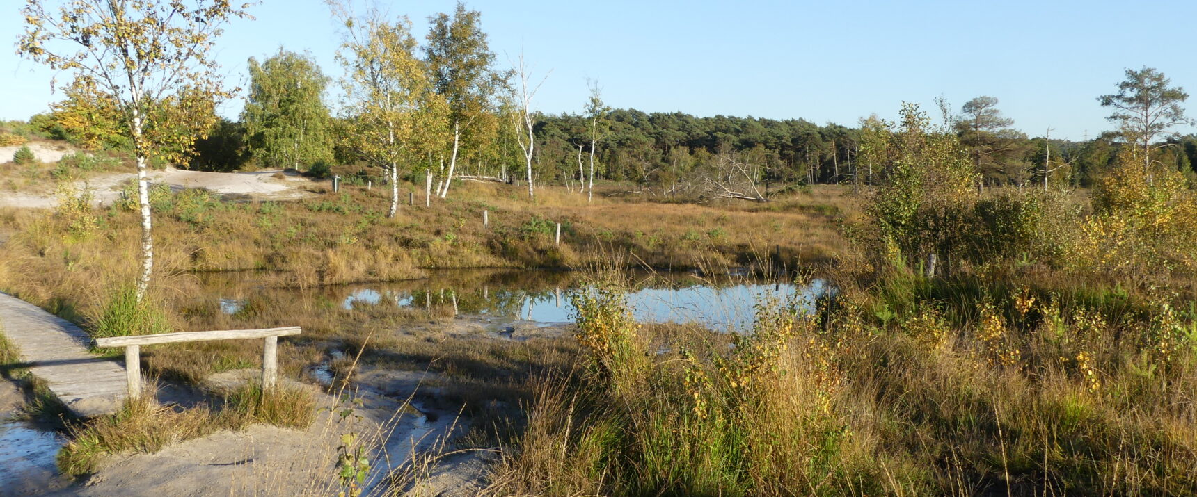 Team Heerlen-Noord, Hoensbroek & Brunssum