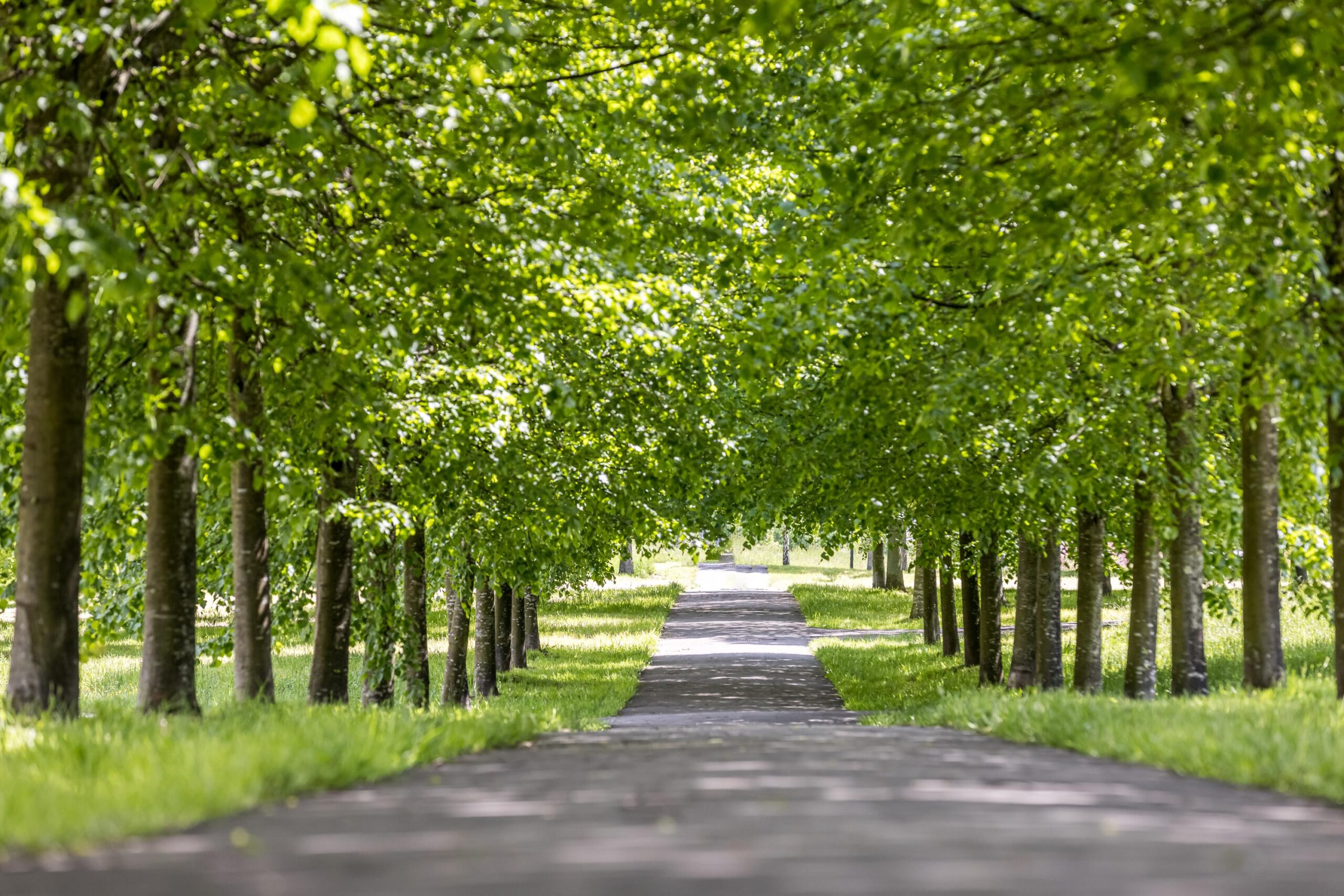 20210528 - GD - Heerlen - Hoogveld - Gerlach Delissen Photography-1